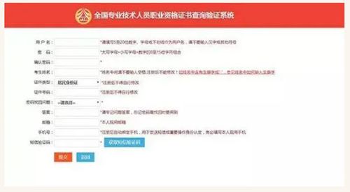 全国专业技术人员职业资格证书查询验证系统使用指南