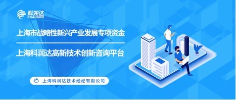 上海市战略性新兴产业发展专项资金申报要点与技术咨询指引